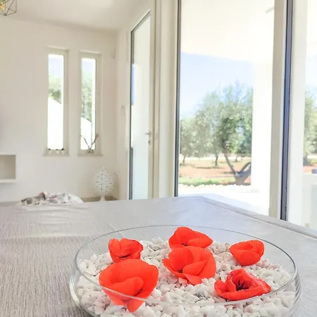 Olive Trees House Villa Torre Canne Room photo