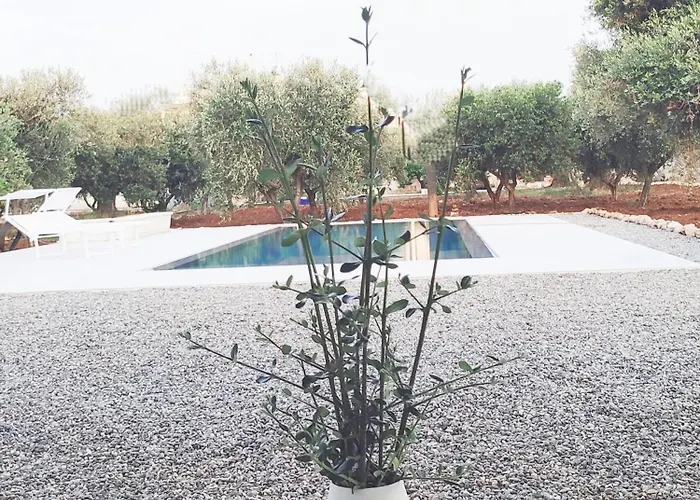 Olive Trees House