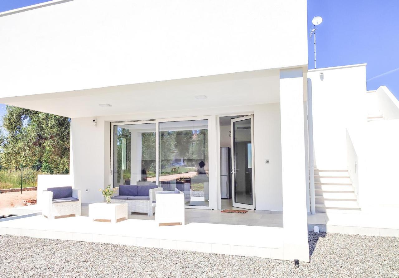 Olive Trees House Villa *