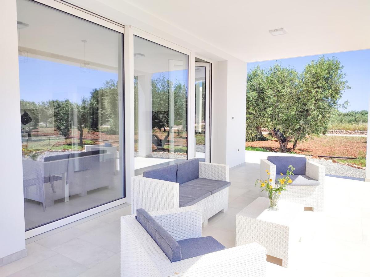 Olive Trees House Villa *