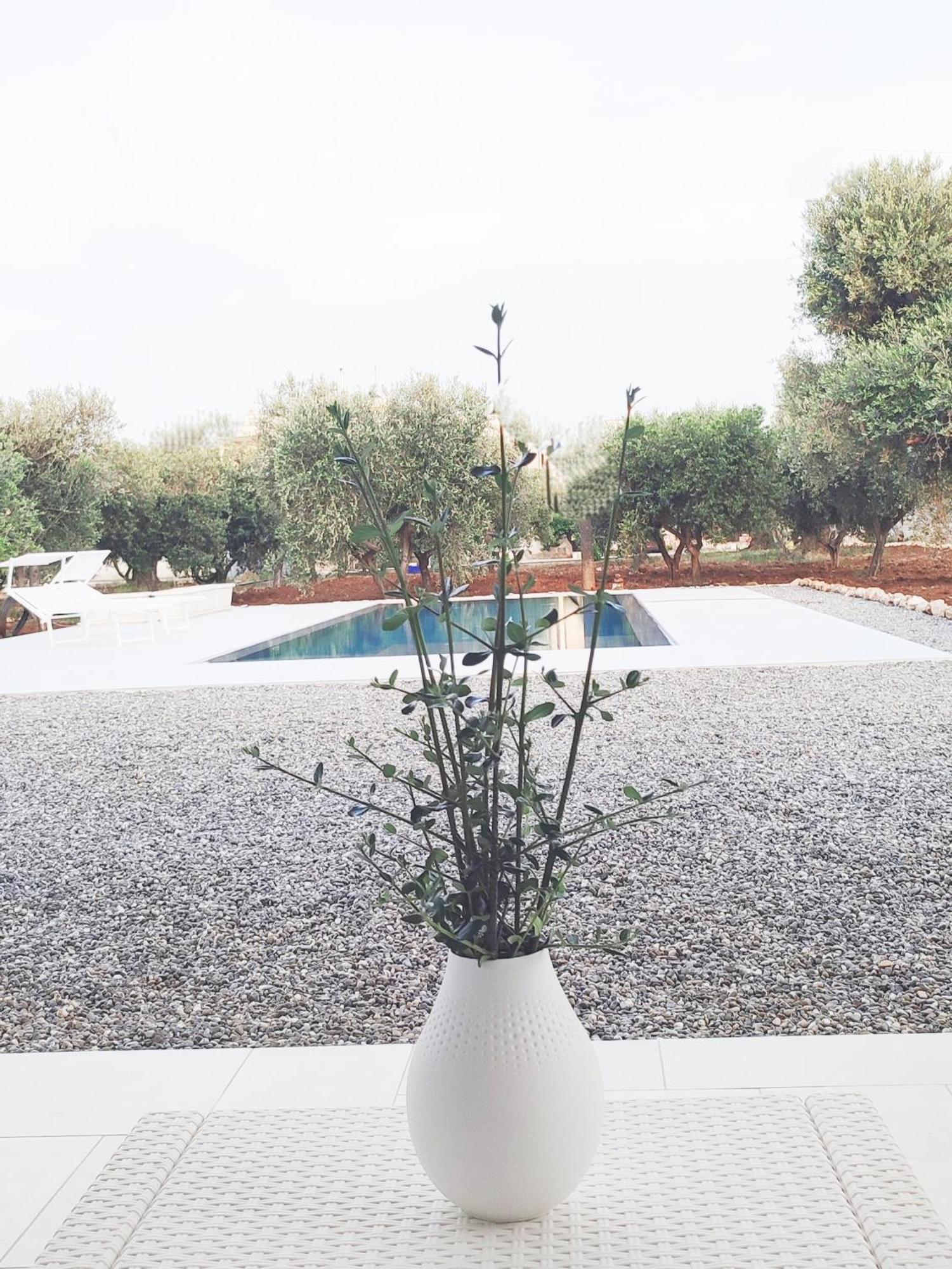 Olive Trees House Torre Canne