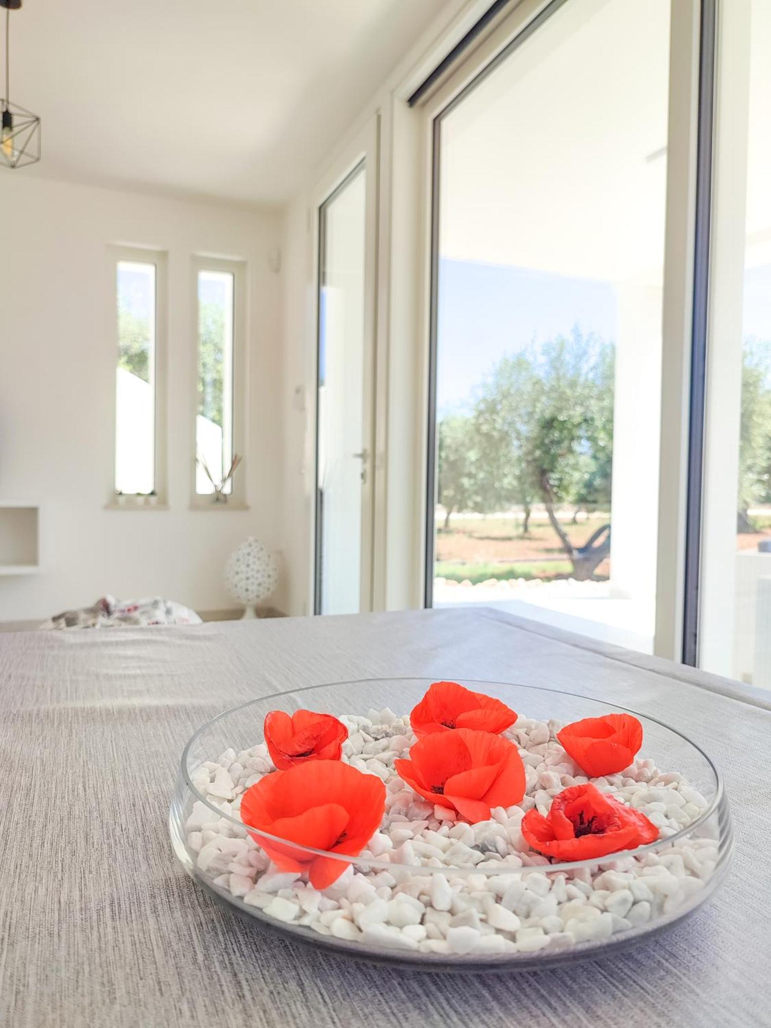 Villa Olive Trees House